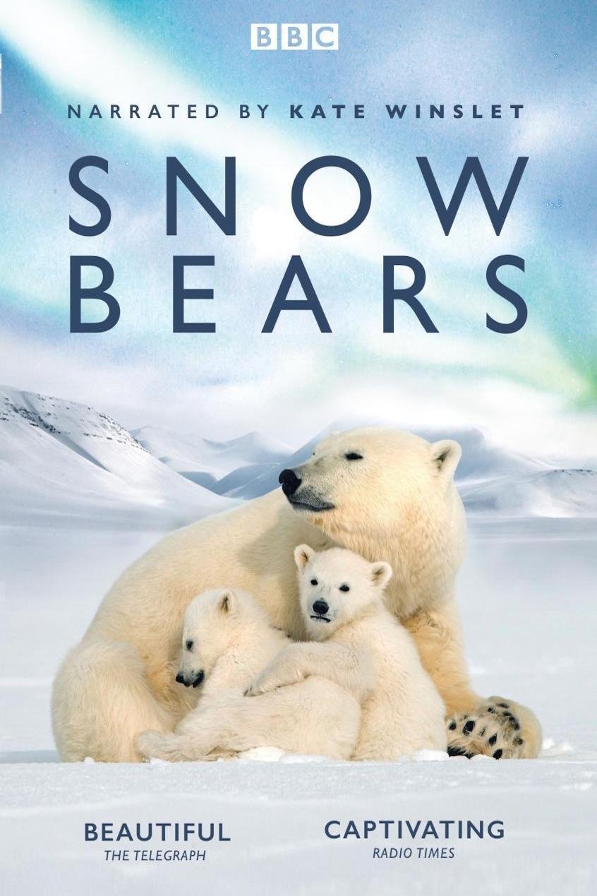 Постер Snow Bears